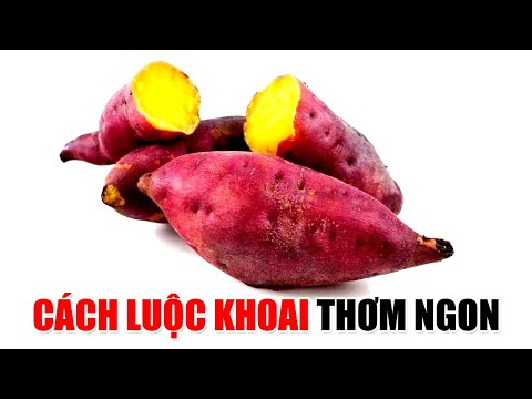 hướng dẫn luộc khoai lang ngon - CÁCH LUỘC KHOAI LANG cực kỳ đơn giản và thơm ngon - King Food Viet Nam