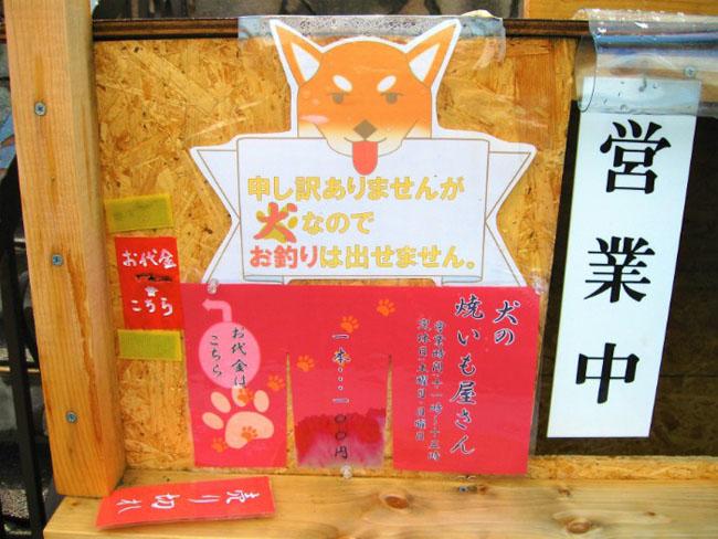 Kỳ lạ chủ quán khoai lang nướng ở Nhật Bản lại là…1 chú chó - 4